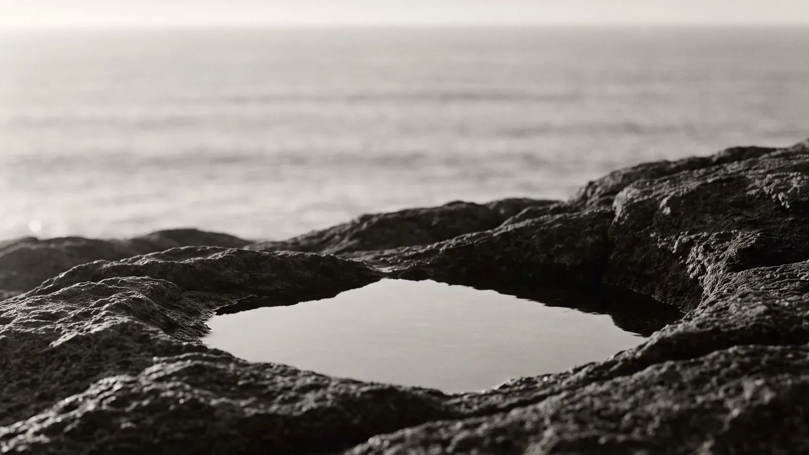 Executive Search for VC-Backed Startups in Portugal: A Founder's Guide